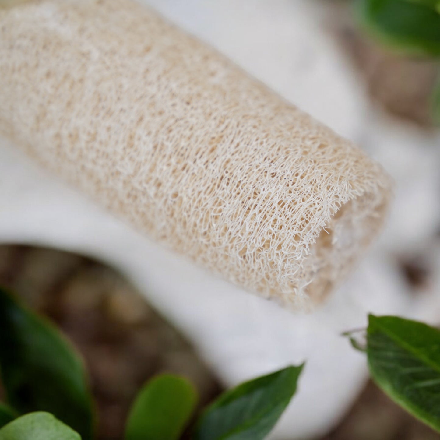 Renuván Natural Loofah