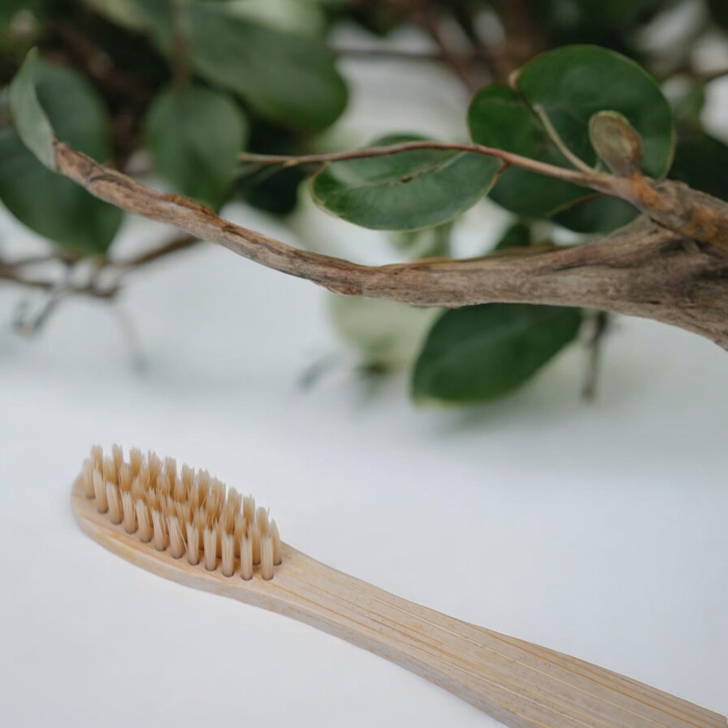 Renuvan Organic Bamboo Toothbrush